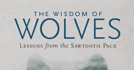 A book cover featuring a mountain range.