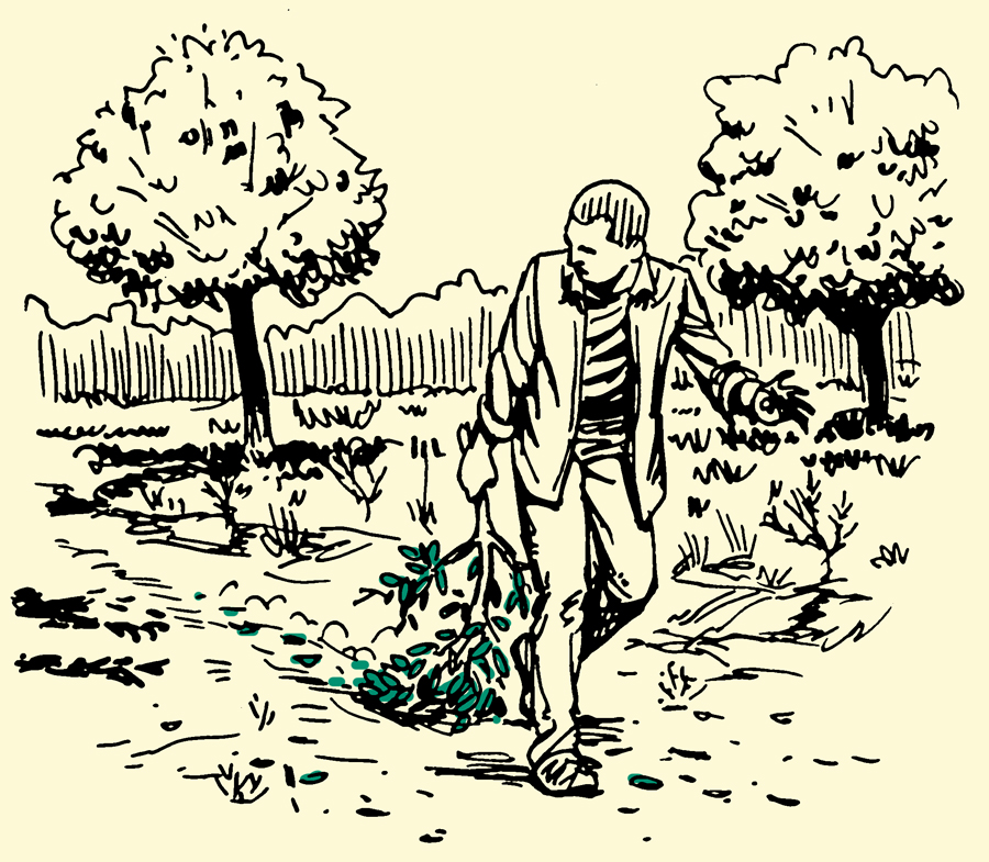 Man holding branch of tree walking through a wide field.